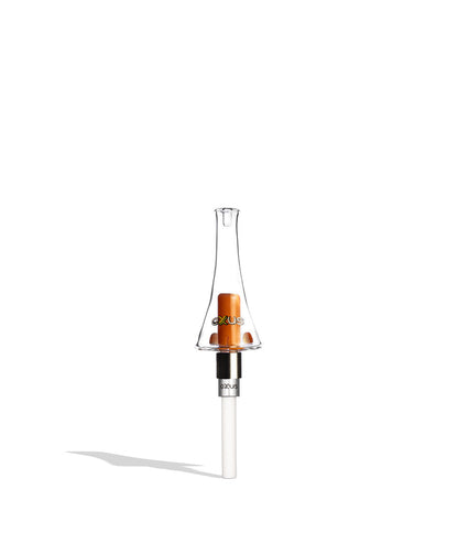 Exxus Draw Nectar Collector orange color on white background
